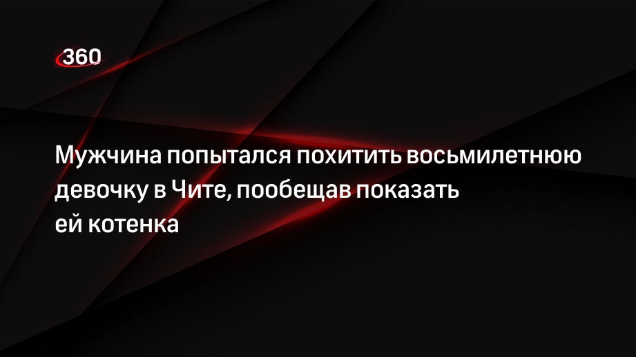 Пытаются похитить меня. Пытаются похитить меня