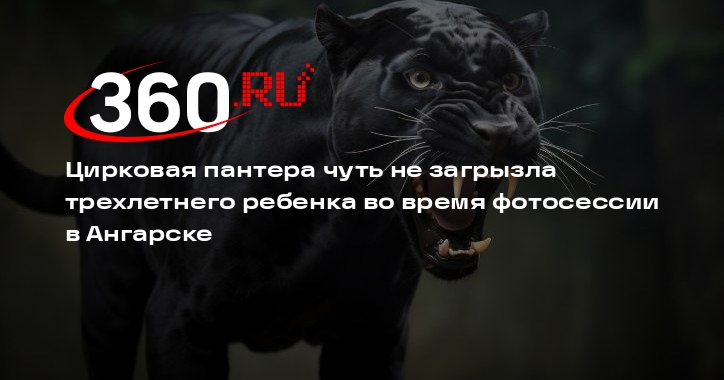 Цирковая пантера напала на ребенка. Цирковая пантера напала на ребенка. Цирковая пантера напала на ребенка. Цирковая пантера напала на ребенка. Цирковая пантера напала на ребенка.