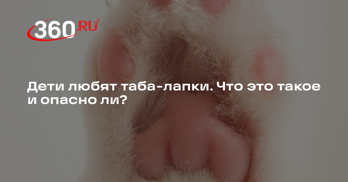 Таба-лапки: что это, кто такие лапкеры, мемы и тренды | 360.ru