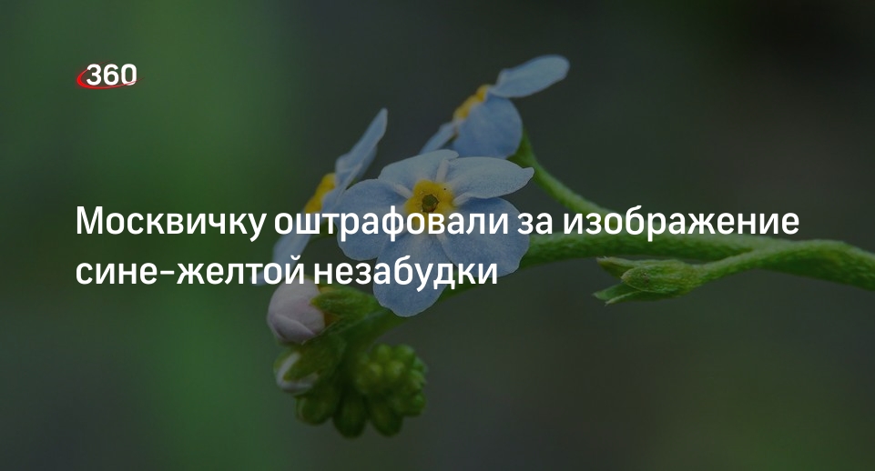 Миниатюрные женские сумочки. Роспись сумок. Сумка в цветочек. Сумочка с цветами. Сумка биркин.