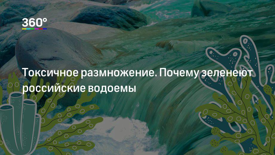 Анализ воды в водоеме