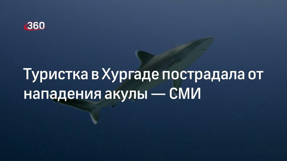 Акулы в средиземном море. В каком отеле египта было нападение акул. В каком отеле египта было нападение акул. В каком отеле египта было нападение акул. Нападение акулы в хургаде.